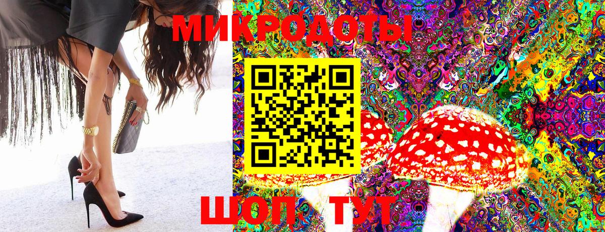 Псилоцибиновые грибы GOLDEN TEACHER  Галлюциногенные грибы Psilocybe  Вход с VPN  Дмитров 